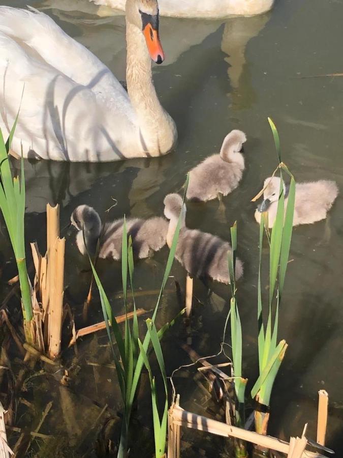 Selska Chalupa Anetka Horsovsky Tyn Luaran gambar