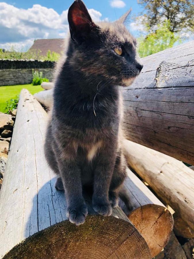 Selska Chalupa Anetka Horsovsky Tyn Luaran gambar